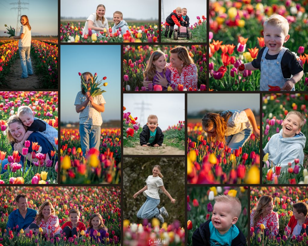 De huidige afbeelding heeft geen alternatieve tekst. De bestandsnaam is: Tulpenpluktuin-collage-In-beeld-bij-Nathalie-1-scaled.jpg